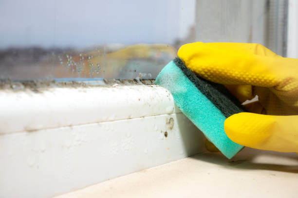 Best Mold Testing  in Moncks Corner, SC