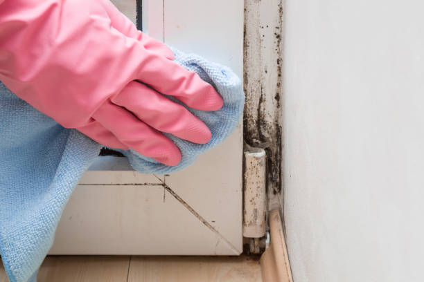 Best Mold Testing  in Moncks Corner, SC